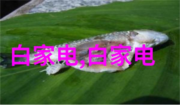 废品回收网站我是如何在网上找到了回收旧电器的好地方