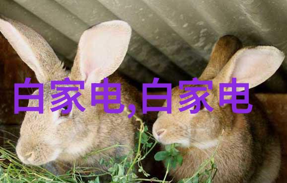数码家电新篇章2023操作系统大会启幕新产品新生态新应用共舞