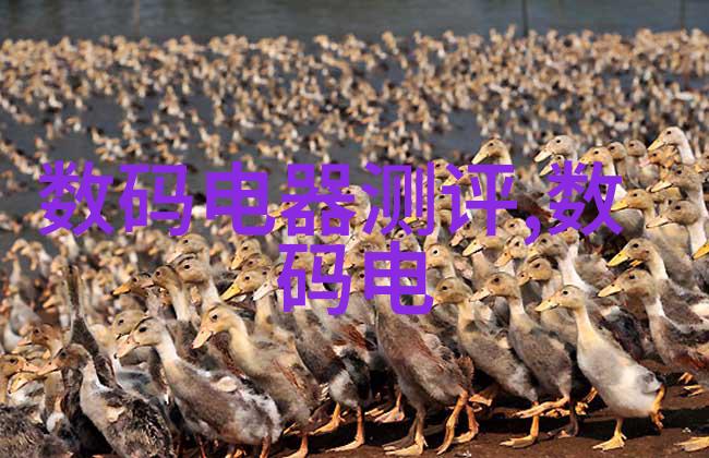 武藤兰全集中的奇迹与传说