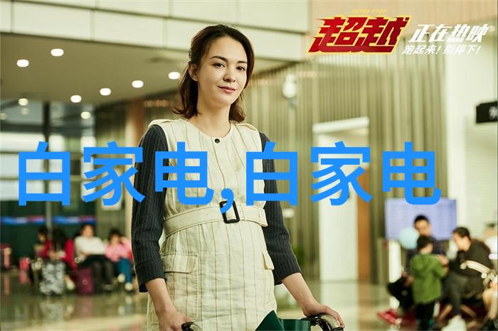 不锈钢金属丝网填料 - 钢丝网络的坚固守护者不锈钢金属丝网填料在建筑保温中的应用与优势