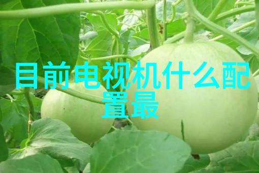 铝单板在现代建筑中的应用探究节能与美观并重