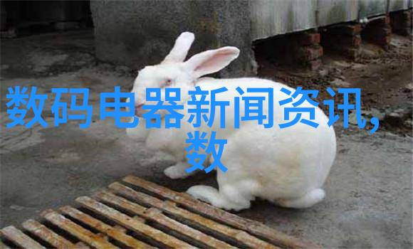 创意玩具-轻盈飞翔泡沫板的奇妙世界