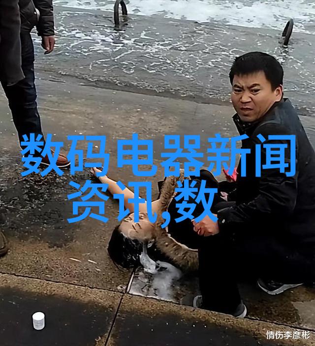 穿越之燕回时空纷飞的羽翼