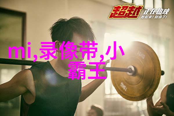 守护安全守护和谐深度探究现代保安公司的重要性与发展趋势