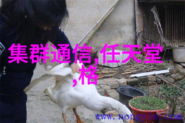 如何确保水电工程对环境影响最小化
