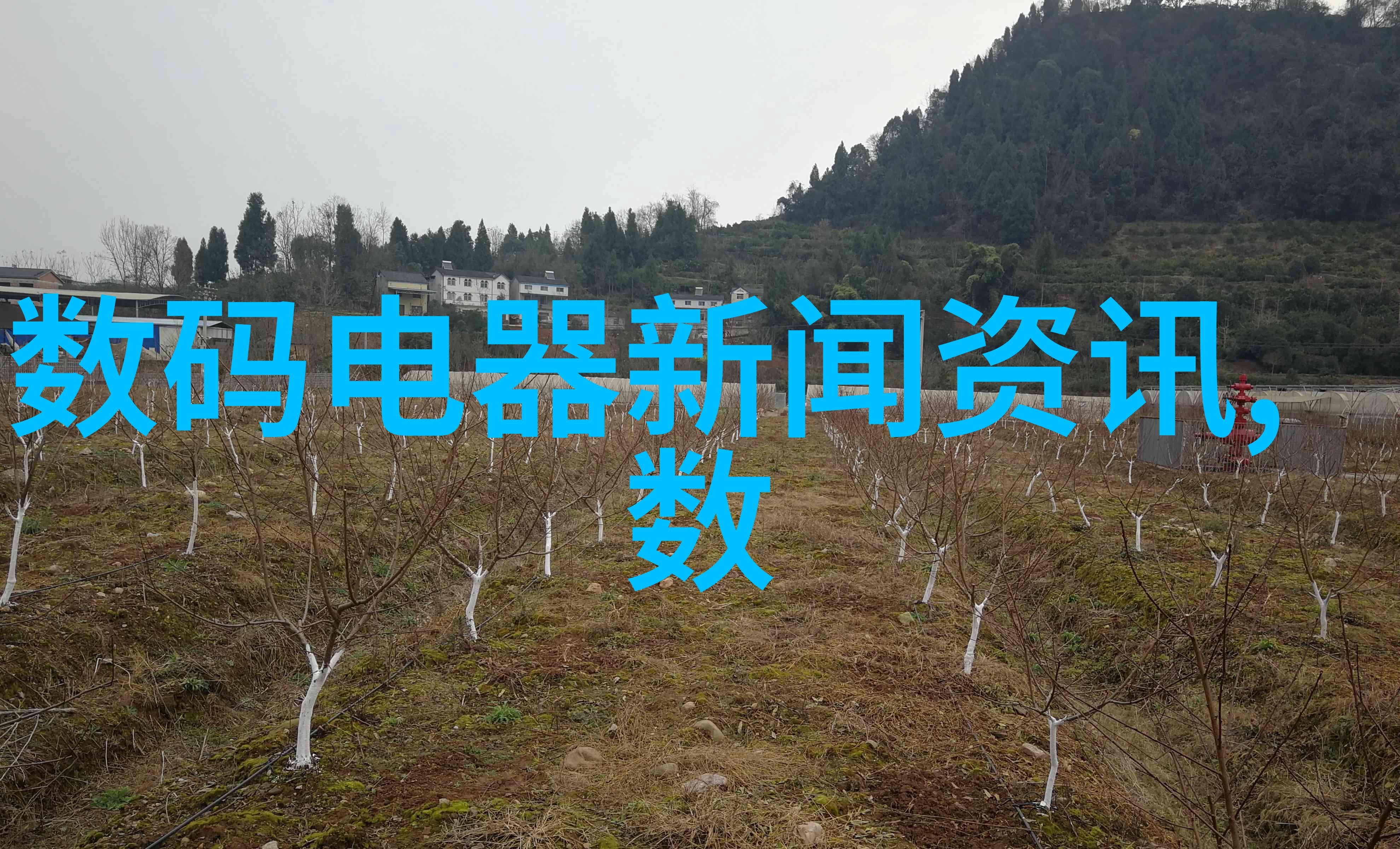 闺女一会就不疼了家庭健康管理的智慧与实践