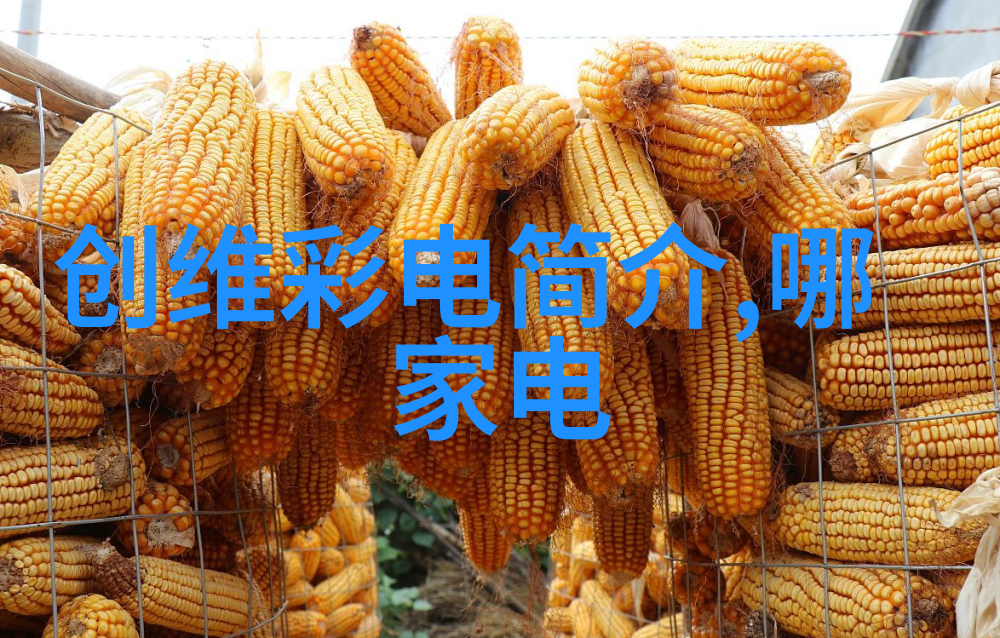 腾龙的新镜头犹如一位画家手中的笔精心雕琢每一个细节为人文艺术摄影带来无与伦比的色彩与深度