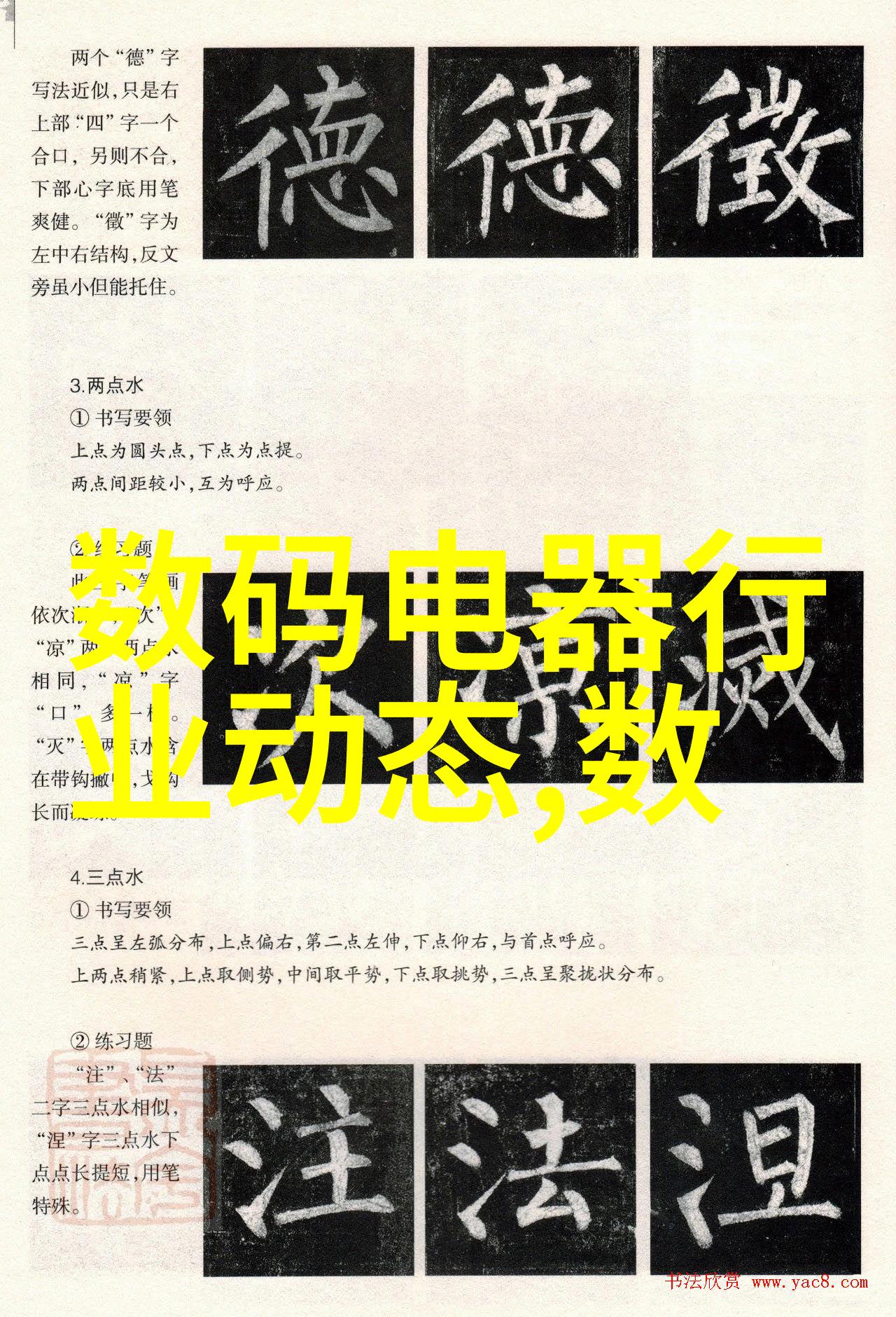 绽放的梦幻追寻世界级情人的浪漫传奇