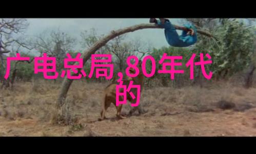 PE法兰接头与管连接水利工程中的无缝结合艺术