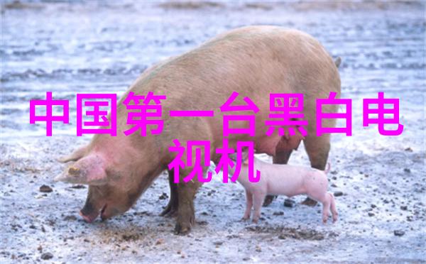 空调制冷功能失效的解决方案探究