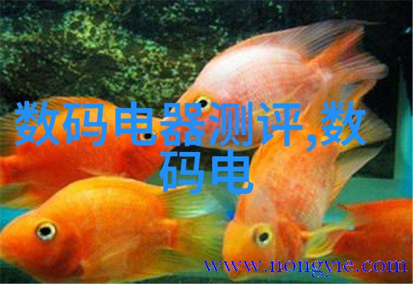 华联集团宣布推出新型智能仓储系统提升物流效率与客户满意度