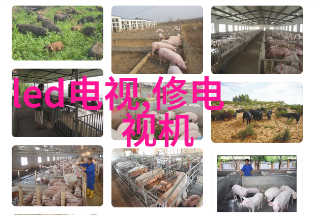 离心分离原理深度解析高效液体处理技术