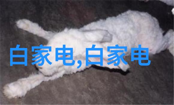 小型一体化污水处理成套设备-绿色环保的解决方案小型一体化污水处理技术与应用探究