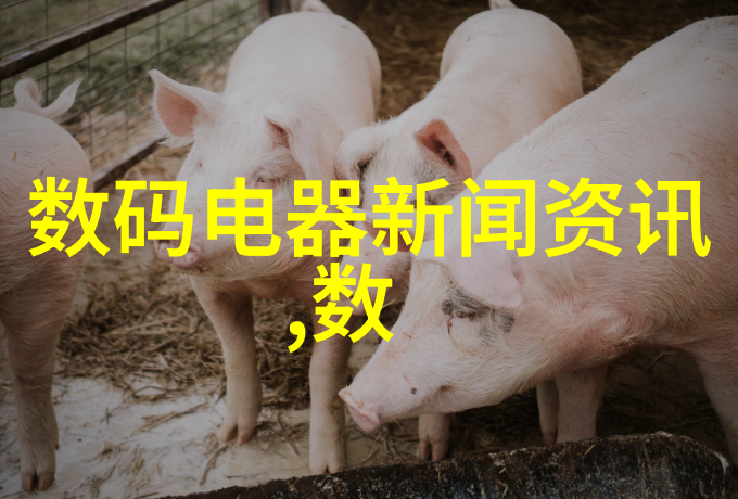 超凡修为的秘密之书揭秘提升个人潜能的神奇方法