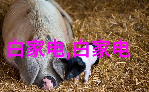 化学实验室设备-精密分析揭秘化学实验室中不可或缺的高科技仪器