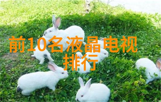 混合搅拌设备 - 旋转混凝土泵与静止搅拌罐的协同效应提升建筑物材质的均匀性