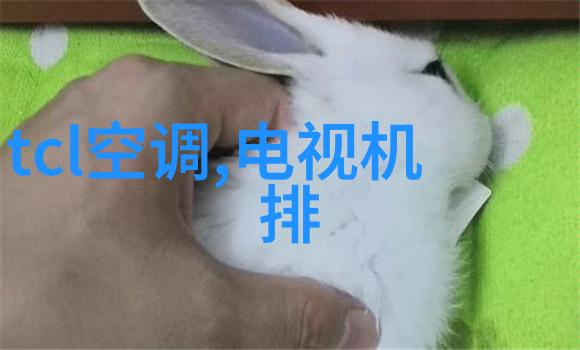 解锁启辰专属服务为您提供专业的安装指导和支持