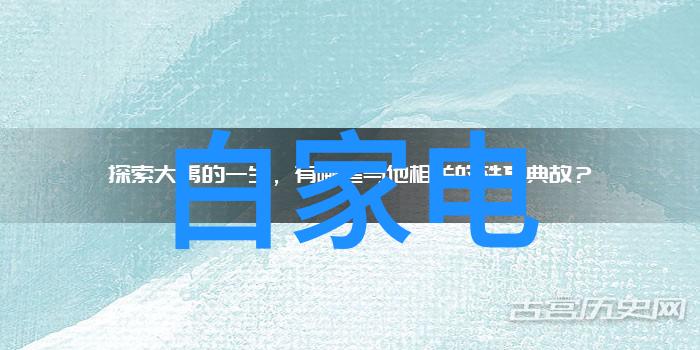 电器品牌动态数码巨头的新战略