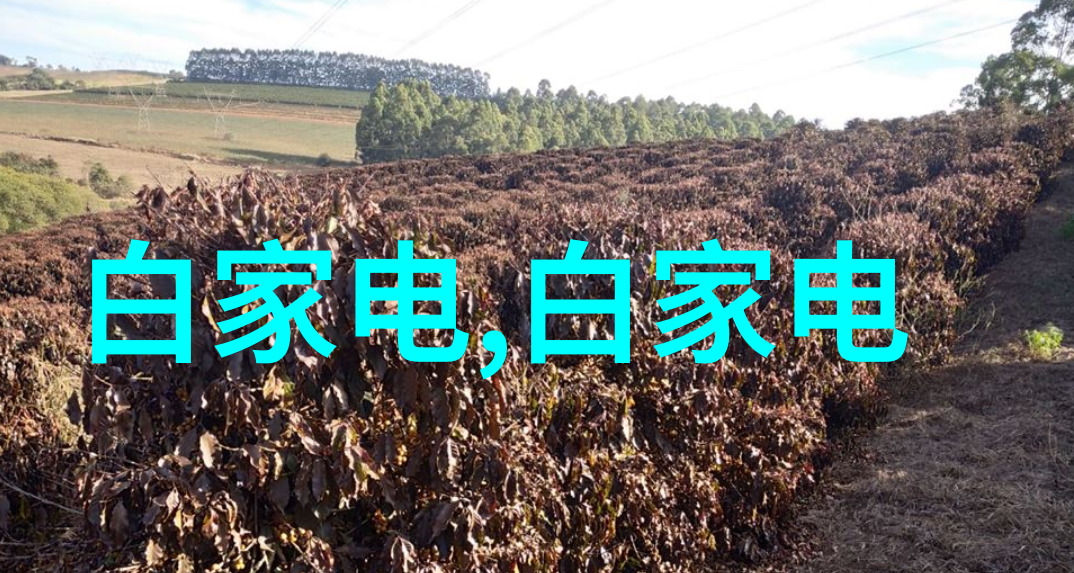 嵌入式设备大全从微控制器到智能家居揭秘众多应用场景中的关键技术