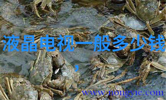 冰箱突然不制冷了家用电器故障解决指南