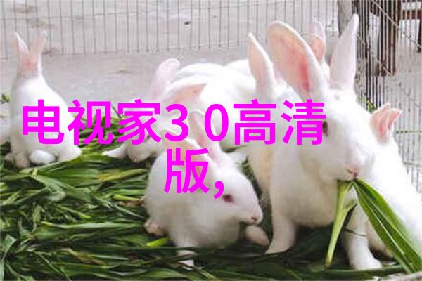 废气净化技术的发展与环保工程实践