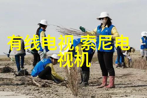 镜头的语言开启自学摄影之旅