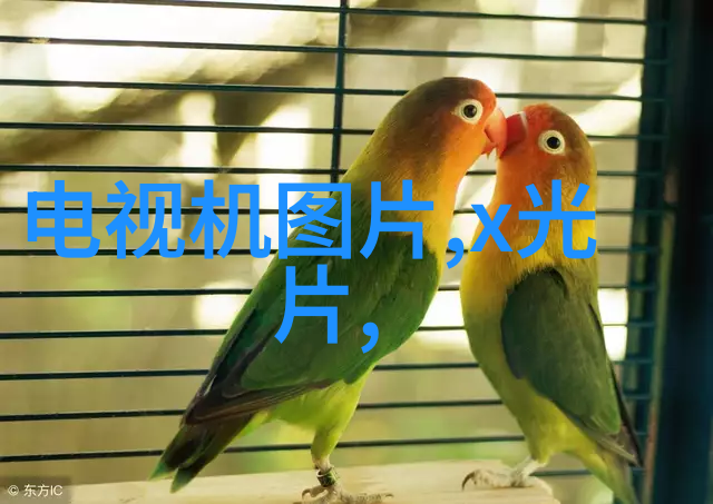 鞠婧祎MV创作AI技术在国内音乐视频制作中的应用