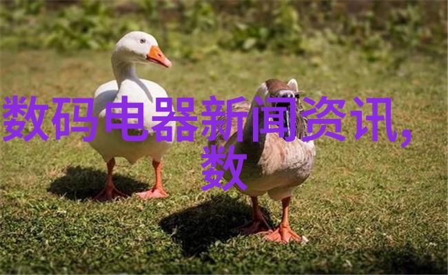 从泥土到晶莹填料的材料与艺术创新的奇迹