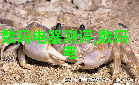 加速成长之旅诚邀大型企业合作无缝对接你的不锈steel处理需求