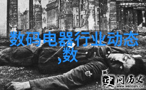 微波干燥技术高效率的食品储藏革命者