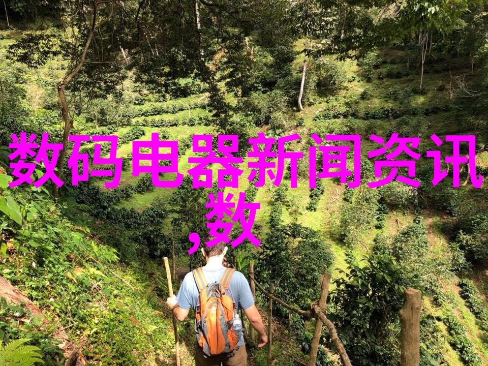 电子垃圾管理之谜如何有效地进行电子产品和线圈等非金属材料的分离分类处理与资源化利用