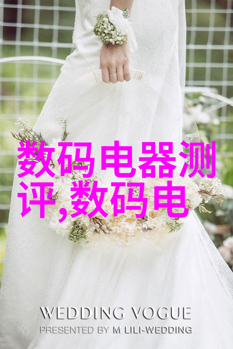 中国芯片制造水平从梦想到现实硅之路上的反差画像
