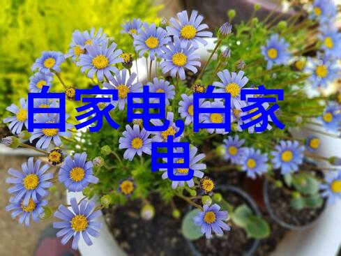 环境守护者污染的脚步与许可证的法则