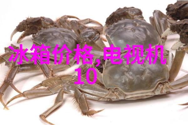 探索洋桔梗花语的深意与文化背后故事