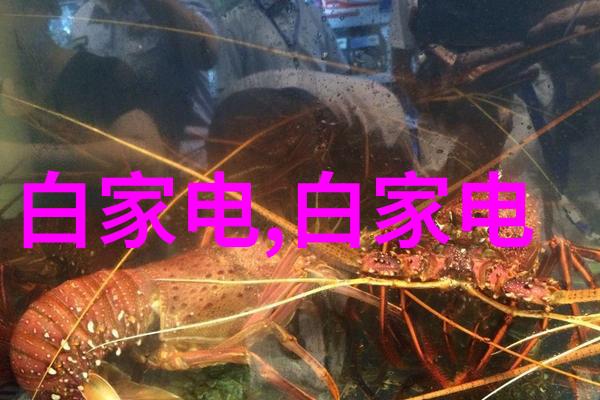 搅拌尺寸详解确保500L搪瓷反应釜的混合效率