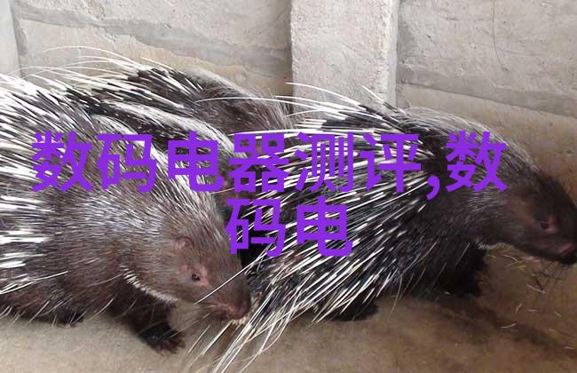 肺炎初现三大征兆警示您可能已感染