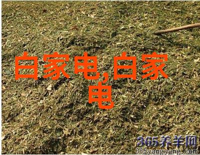 摄影奇迹倒计时2天年度十佳作品揭晓你的作品将被发现吗