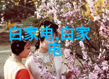 防腐材料守护不朽的秘密之墙