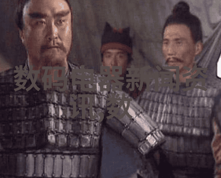 为何需要专业人士参与并且他们在制定家居装饰设计方案中的作用是什么