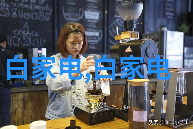 工业级空气净化系统的核心技术布袋除尘设备的应用与优势