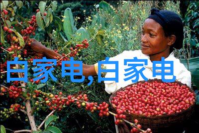 离心设备有哪些类型