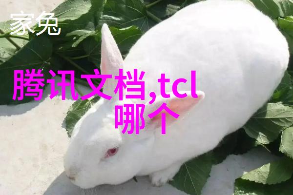 人物特征展现技巧如何通过表情和姿态传递故事