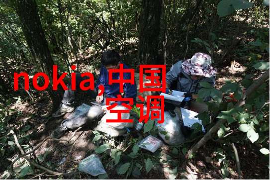 城市之冠摩天大楼的无尽魅力