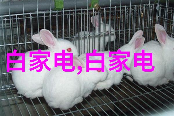 深渊之眼水质监测系统的未解谜题
