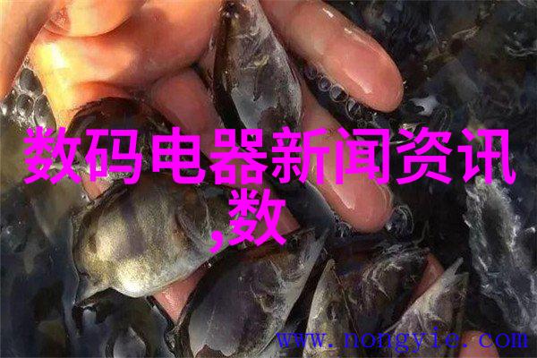 铝单板我的小屋的守护者