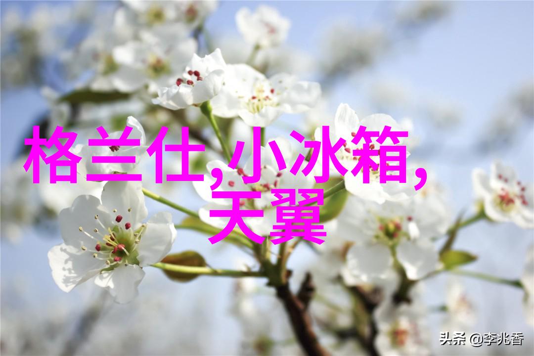 实验室设备制造厂家科技的精密工匠
