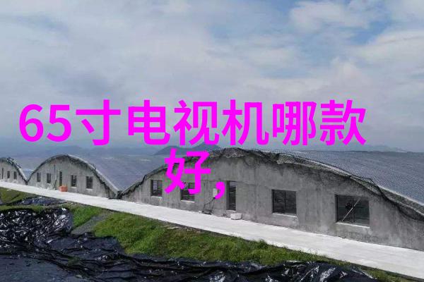 主题-镜头见闻探索摄影作品的发布平台