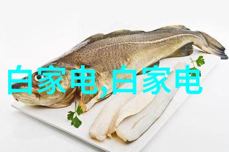 死城txt我在废墟中找到的那段永恒的文字