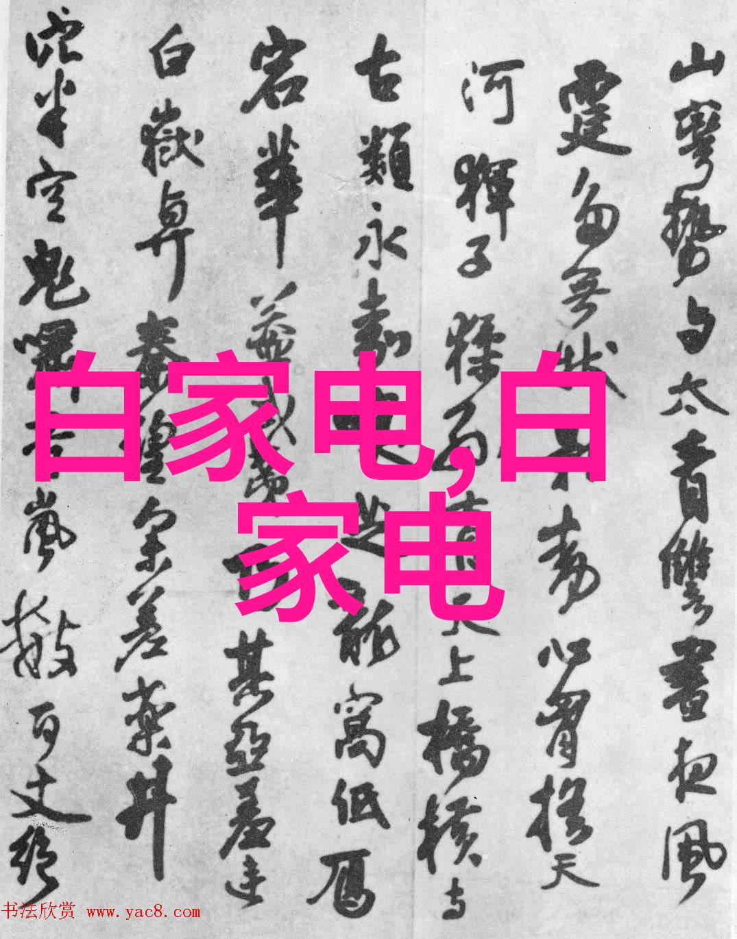 动物反应器软件下载解锁动态研究的秘密