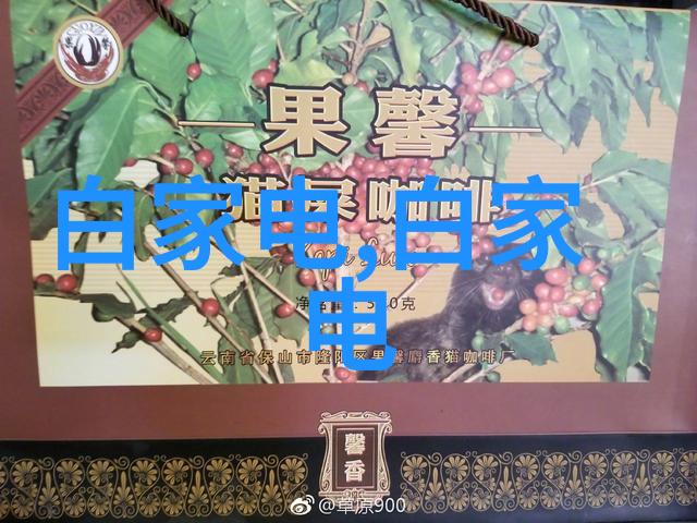 芯片之梦从微小到无限